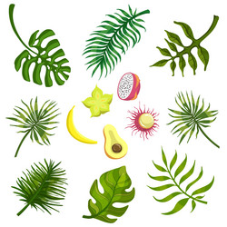 Similar image 11445249