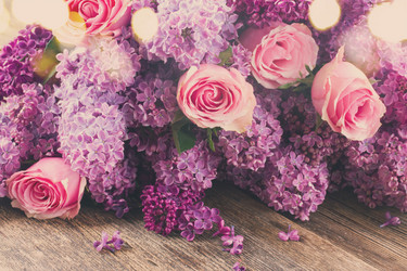 Similar image 11443974