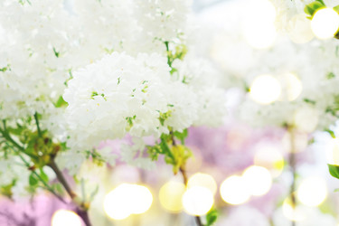 Similar image 11443977