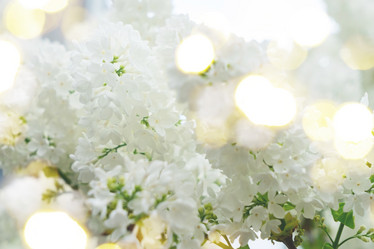 Similar image 11443978