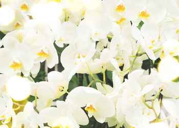 Similar image 11443984