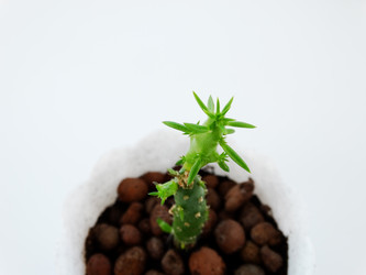 Similar image 11435701