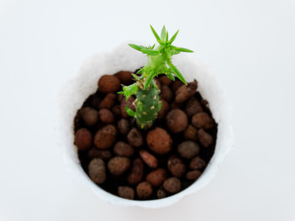 Similar image 11435702