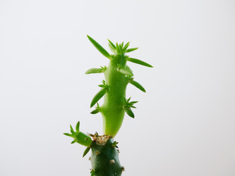 Similar image 11435703