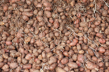 Similar image 11460334