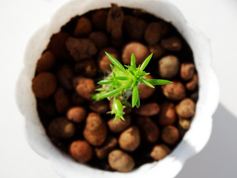 Similar image 11435732