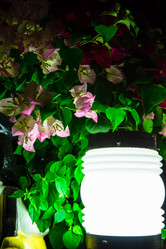 Similar image 11435789