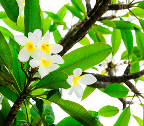 Similar image 11435793