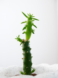 Similar image 11435733