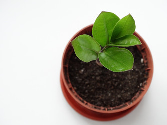 Similar image 11435690