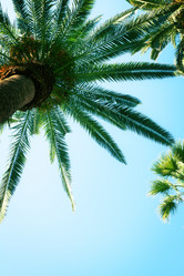 Similar image 11443894