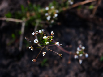 Similar image 11435693