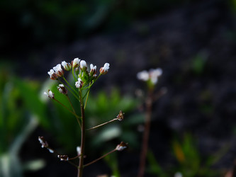 Similar image 11435694