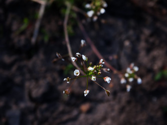 Similar image 11435695