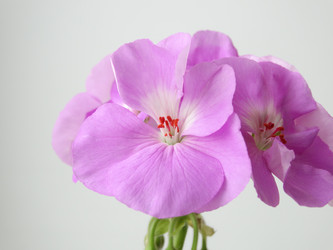 Similar image 11435705