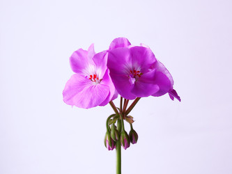 Similar image 11435707