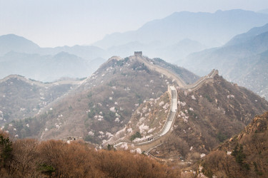 Similar image 11435551