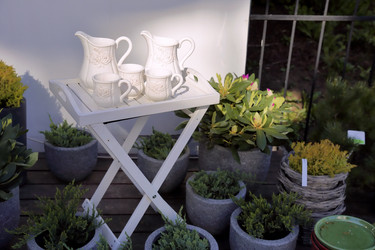 Similar image 11435553