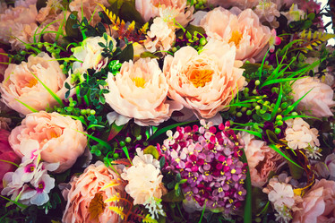 Similar image 11435753