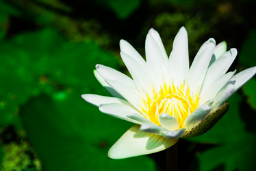 Similar image 11435755