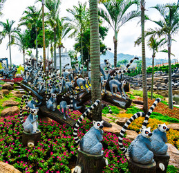 Similar image 11435758