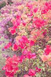 Similar image 11435765