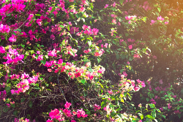 Similar image 11435766