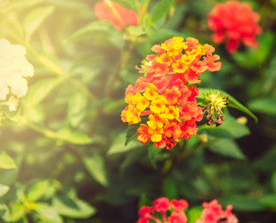 Similar image 11435777