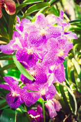 Similar image 11435778