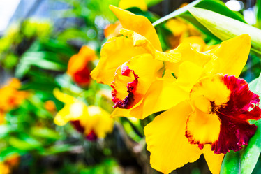 Similar image 11435779