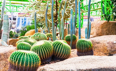 Similar image 11435795