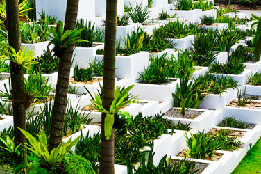 Similar image 11435796