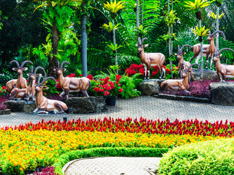 Similar image 11435797