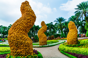 Similar image 11435798