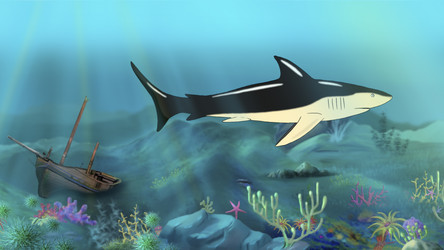 Similar image 11435606