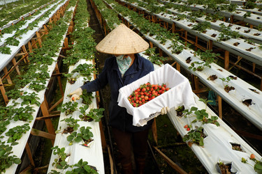 Similar image 11435974