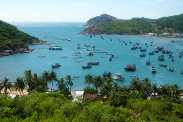 Similar image 11435857