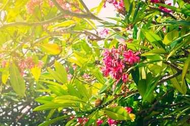 Similar image 11445464