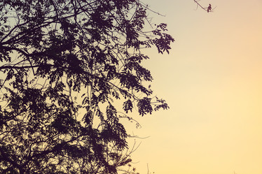 Similar image 11449286