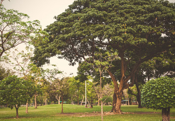 Similar image 11445470