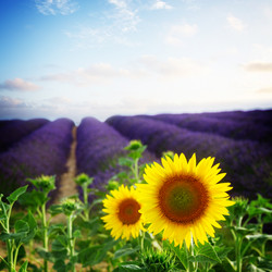 Similar image 11443922