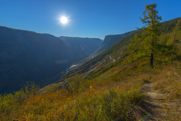 Similar image 11436464