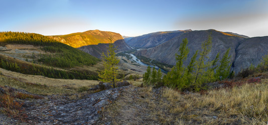 Similar image 11436474