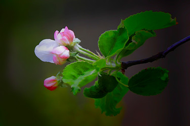 Similar image 11443246