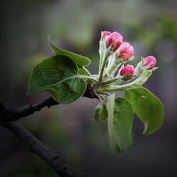 Similar image 11443248