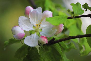 Similar image 11443250