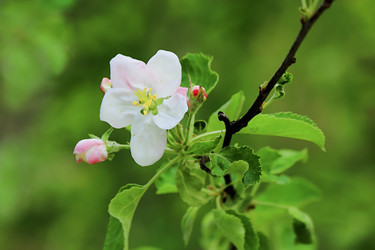 Similar image 11443251