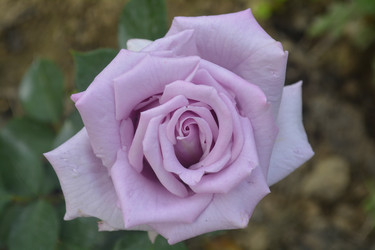 Similar image 11436409