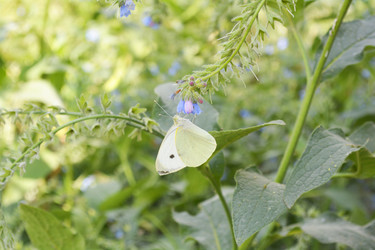 Similar image 11436410