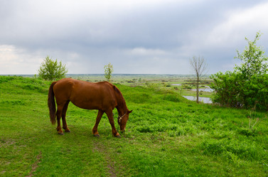 Similar image 11443253